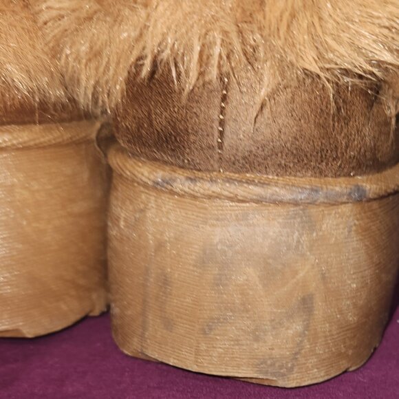 Fashion Nova Booties - Picture 9 of 10